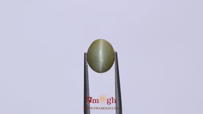 Catseye - 3.42 Carat