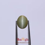 Catseye - 3.42 Carat