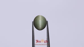 Catseye - 4.2 Carat