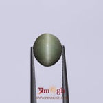 Catseye - 4.2 Carat