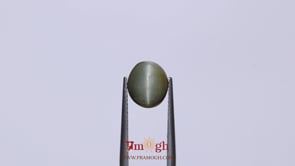 Catseye - 3.73 Carat