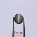 Catseye - 3.73 Carat
