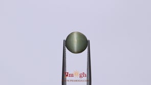 Catseye - 4.35 Carat