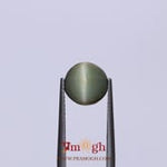 Catseye - 4.35 Carat
