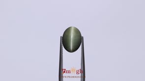 Catseye - 4.09 Carat