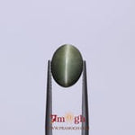 Catseye - 4.09 Carat