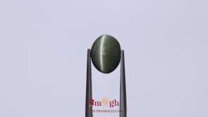 Catseye - 4.95 Carat