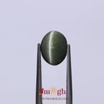 Catseye - 4.95 Carat