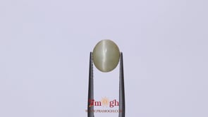 Catseye - 3.43 Carat
