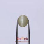 Catseye - 3.43 Carat