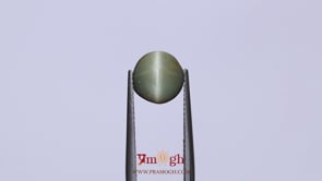 Catseye - 3.37 Carat