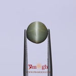 Catseye - 3.37 Carat