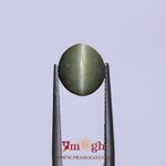 Catseye - 4.6 Carat