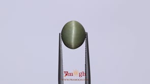 Catseye - 3.9 Carat