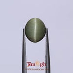 Catseye - 3.9 Carat