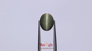 Catseye - 4.2 Carat