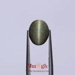 Catseye - 4.2 Carat