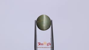 Catseye - 5.25 Carat