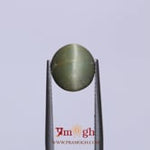 Catseye - 5.25 Carat