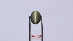 Catseye - 4.58 Carat