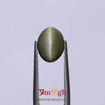 Catseye - 4.58 Carat