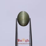 Catseye - 3.8 Carat