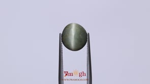 Catseye - 4.7 Carat