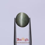 Catseye - 4.7 Carat