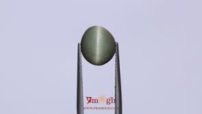 Catseye - 4.8 Carat