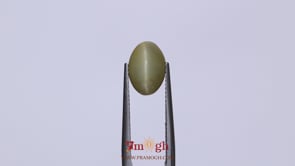 Catseye - 3.43 Carat