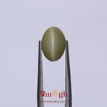Catseye - 3.43 Carat