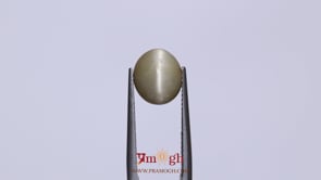 Catseye - 4.05 Carat