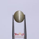 Catseye - 4.05 Carat