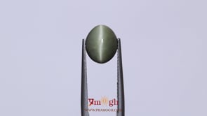 Catseye - 4.5 Carat