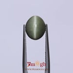 Catseye - 4.5 Carat