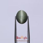 Catseye - 4.38 Carat