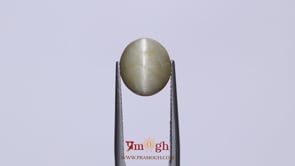 Catseye - 5.65 Carat