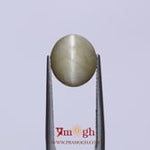 Catseye - 5.65 Carat