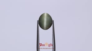 Catseye - 3.85 Carat