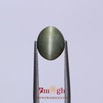 Catseye - 3.85 Carat
