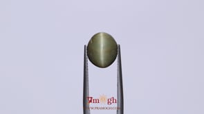 Catseye - 4.65 Carat