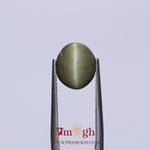 Catseye - 4.65 Carat