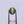Load and play video in Gallery viewer, Catseye - 4 Carat
