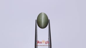 Catseye - 3.3 Carat