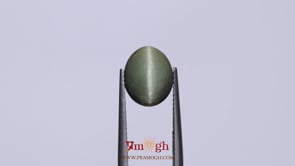 Catseye - 4.95 Carat