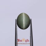 Catseye - 4.95 Carat