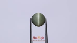 Catseye - 4.55 Carat