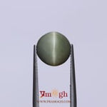 Catseye - 4.55 Carat