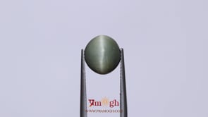 Catseye - 4.9 Carat