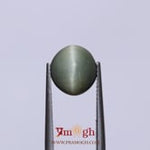 Catseye - 4.9 Carat